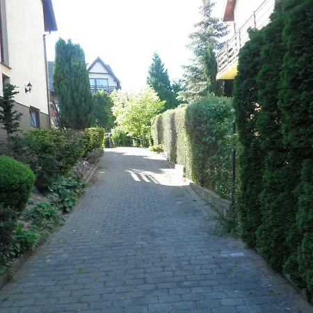 Проживание в семье Esja